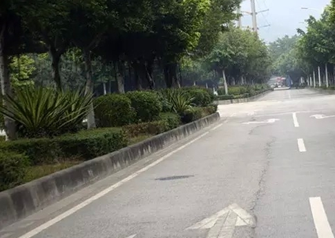 走错路想掉头怕挨罚？到底哪些路才能掉头