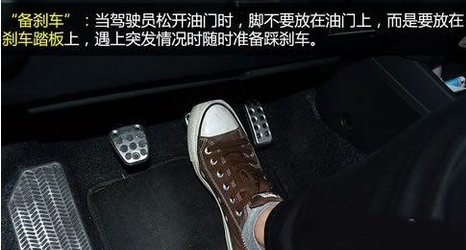 男子开车闪避小狗坠谷 突遇小动物你该这样做