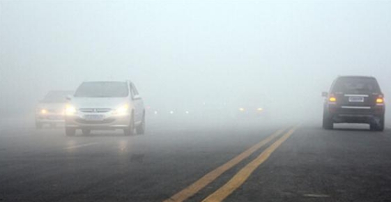 夏天开车你得懂：雨雾天开车到底要不要开双闪？